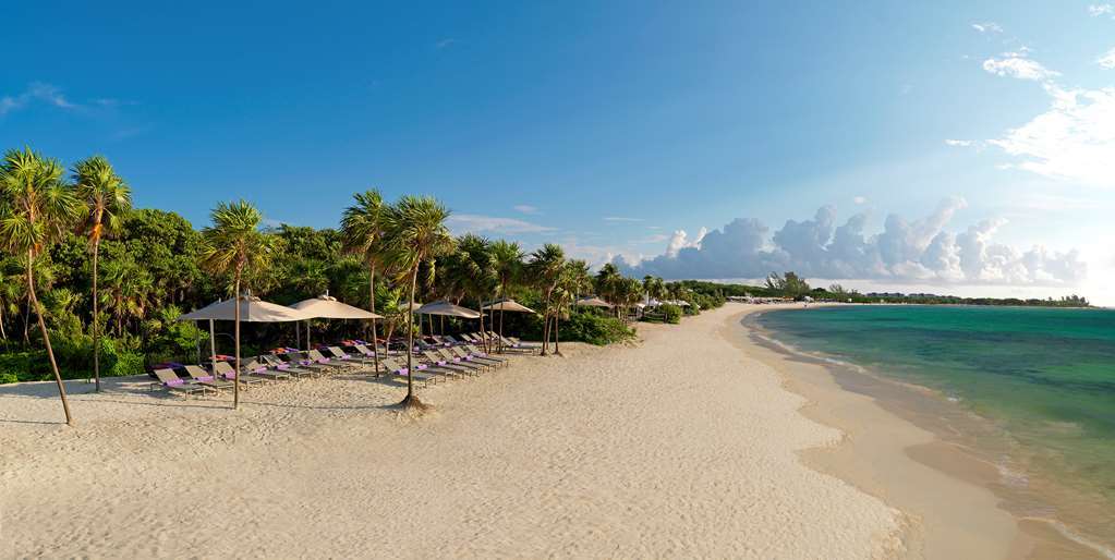 Royal Service At Paradisus La Perla (Adults Only) بلايا ديل كارمن الطبيعة الصورة